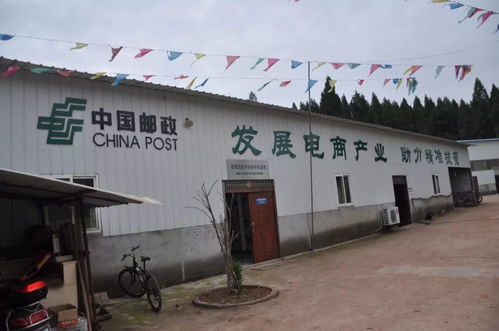 将资阳特色农产品与电商结合 来看看丹山的这家加工厂如何打造食用农产品新高地