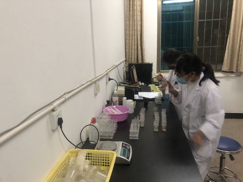 加强外援食用农产品检测 合力抗疫景谷农业在行动