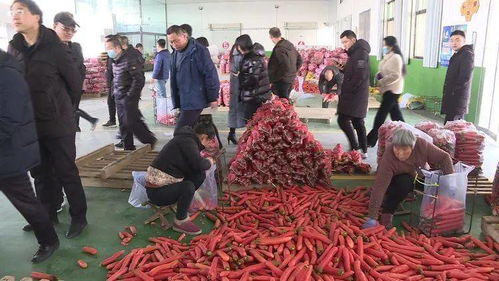 全省农产品质量安全追溯体系建设与食用农产品合格证制度培训班在我县开班