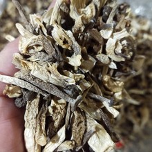 秦岭南麓的鲜美馈赠 陕西商洛香菇的品质与田园故事