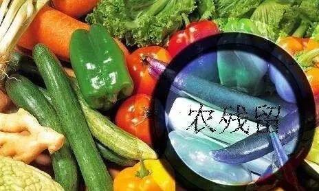 温州农产品安全吗？反季节果蔬到底能不能吃？专家给出权威解答